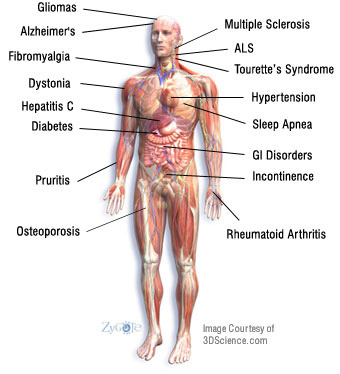 Cannabis Facts