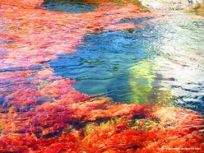 cano cristales