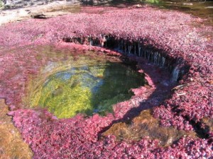 river of five colors columbia