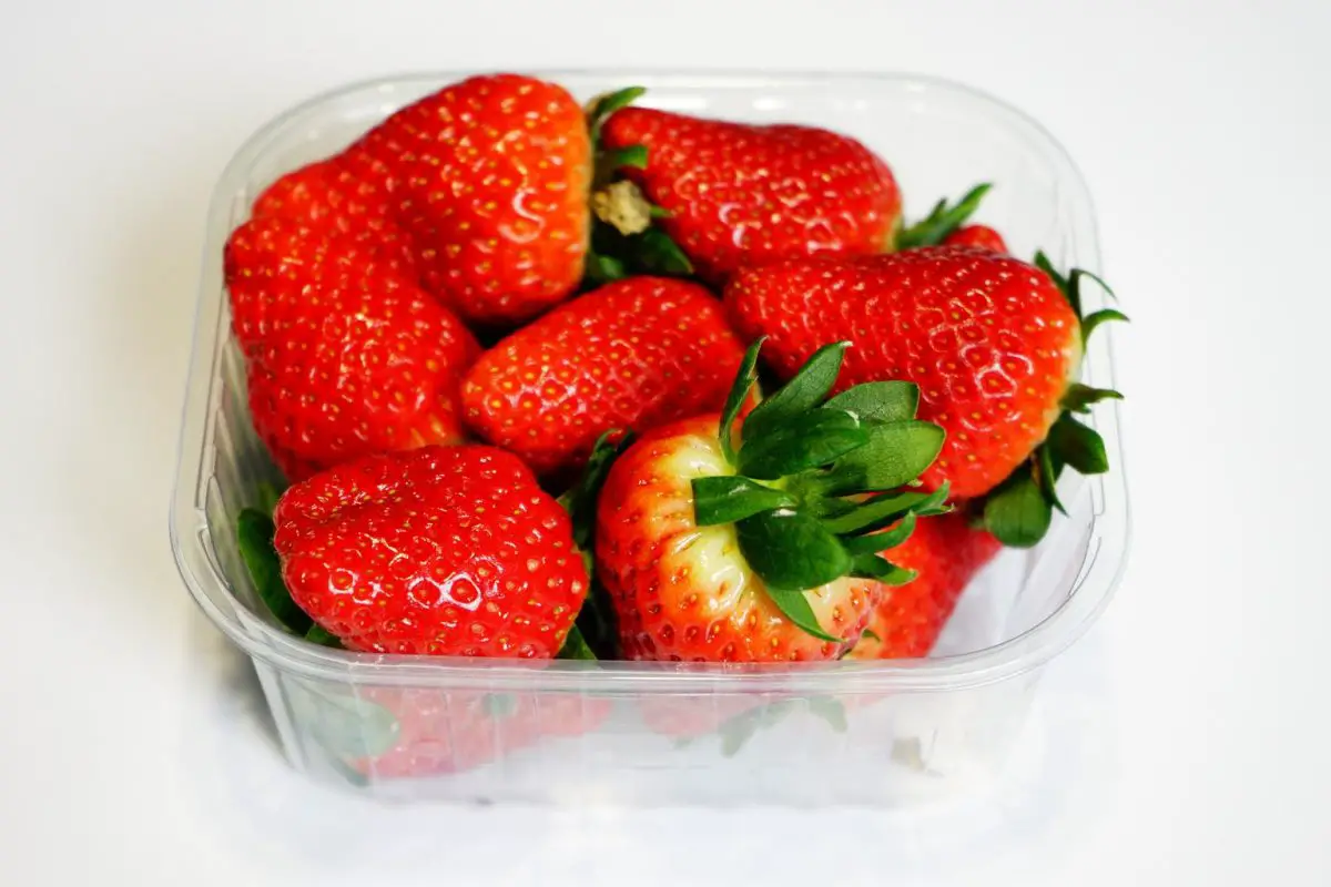 Strawberry Facts Nutrition Calories In Strawberries Kids