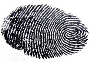 fingerprint facts