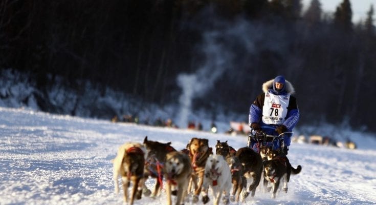 iditarod facts