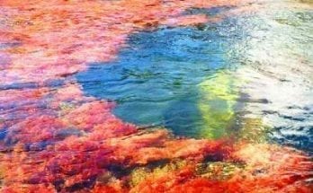 river of five colors