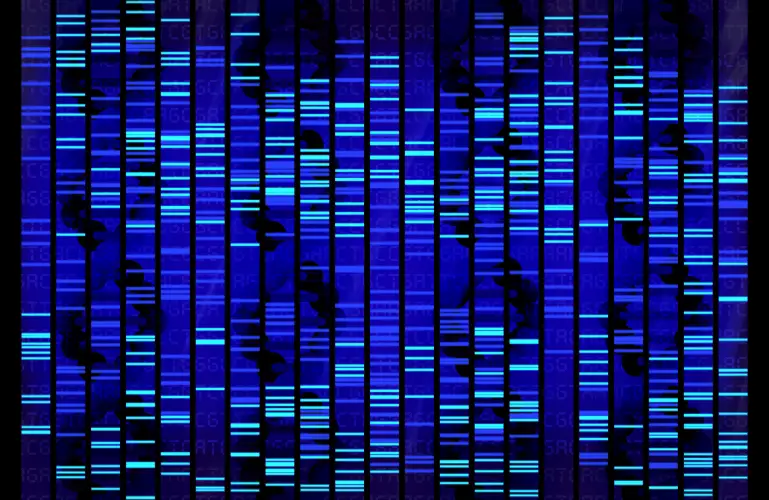 Junk dna facts what is junk dna mystery genes