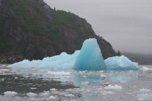 why does ice float on water