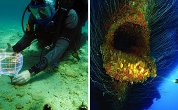 15 Strange Photos Of Sunken Ships (10 Of Weirder Things Underwater)