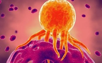 Newly Discovered Mechanism Helps Our Own Immune Systems Fight Cancer