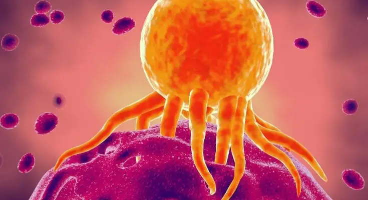 Newly Discovered Mechanism Helps Our Own Immune Systems Fight Cancer