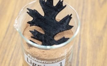 New Composite Advances Lignin as a Renewable 3D Printing Material