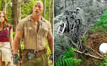 25 Strange Things Found In The Jungle (That Definitely Don’t Belong There)