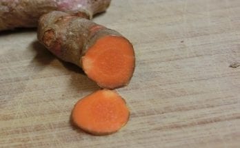 interesting facts about turmeric
