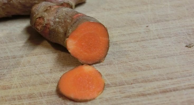 interesting facts about turmeric