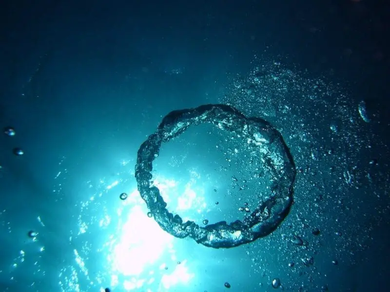 Interesting Facts About Oxygen | Cellular Respiration | Tank