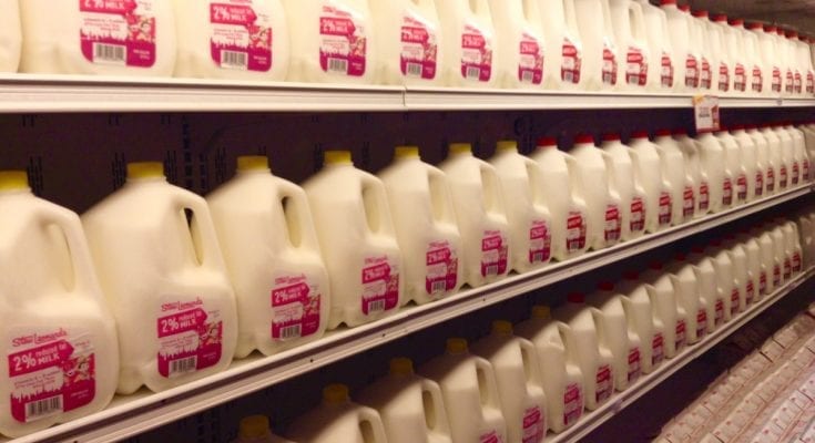 interesting facts about milk