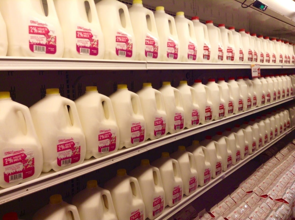 interesting facts about milk
