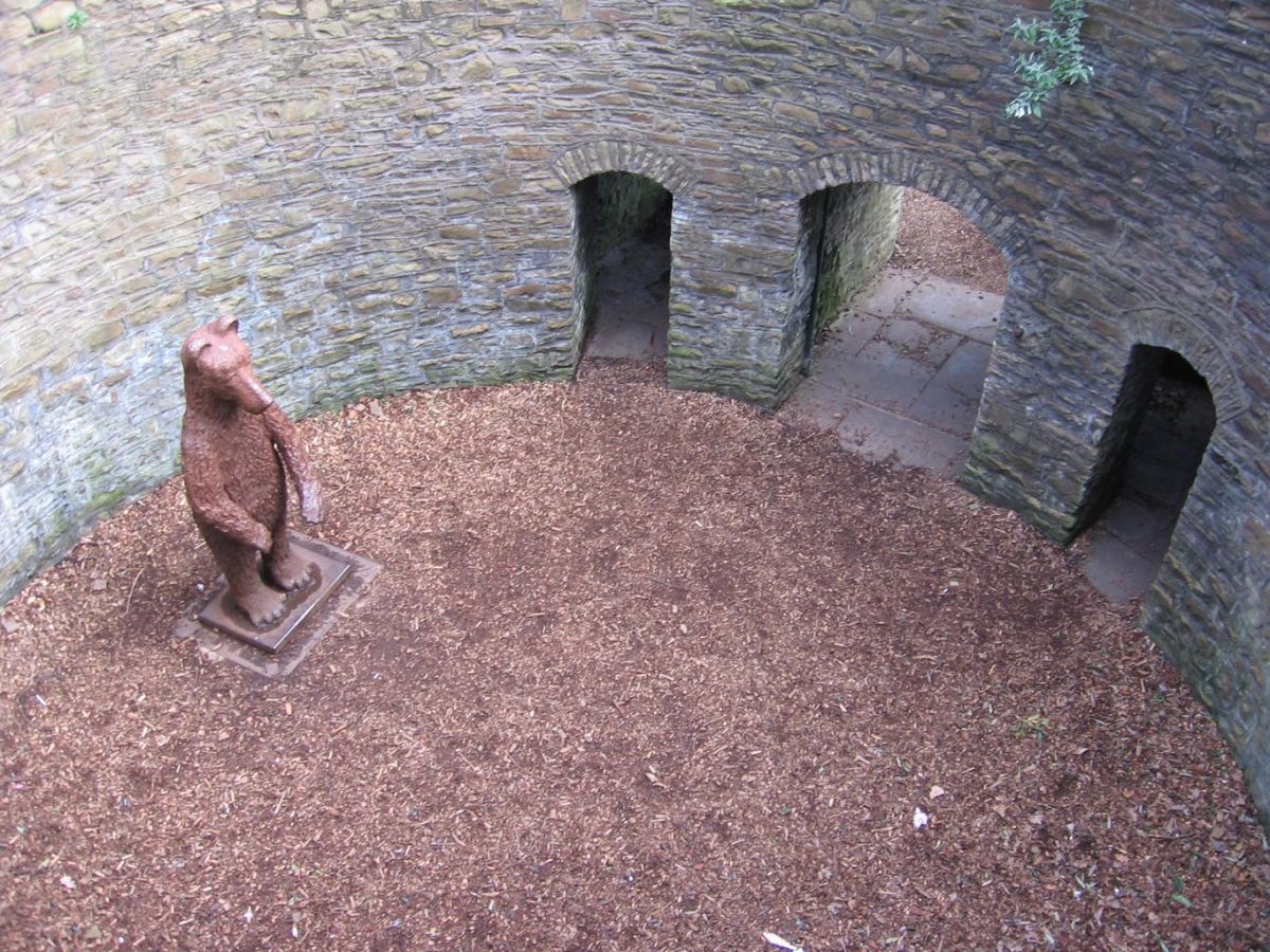 Interesting Facts About Bear Baiting Medieval