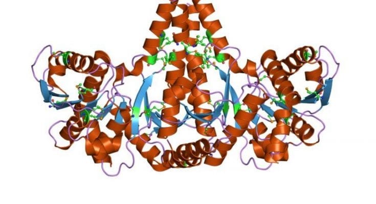 protein engineering codexis stock price