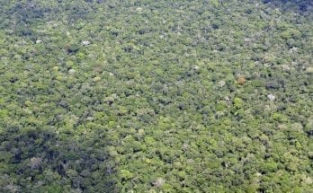 Facts About the Amazon rainforest That'll Blow Your Mind