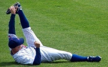 chicago cubs fun facts for kids