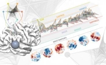 The 'Place' Of Emotions in the Brain