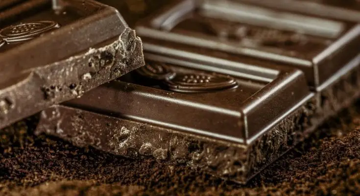 dark chocolate nutrition facts