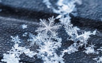 Fact Check – Are No Two Snowflakes Exactly Alike?