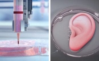 The Science Fiction World of 3D Printed Organs