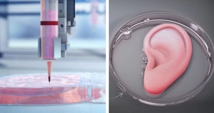 The Science Fiction World of 3D Printed Organs