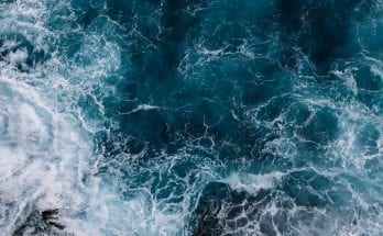 Prehistoric waterworld Earth evidence found in ancient sea floor fossil