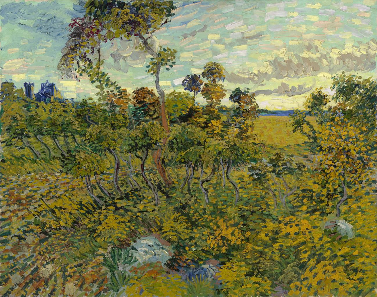 Interesting Facts About Vincent Van Gogh | Death | Art