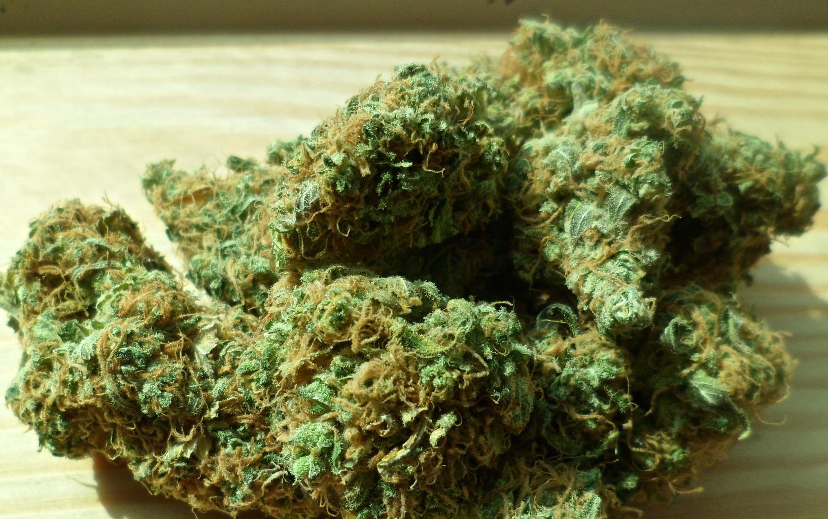 what is cannabis oil