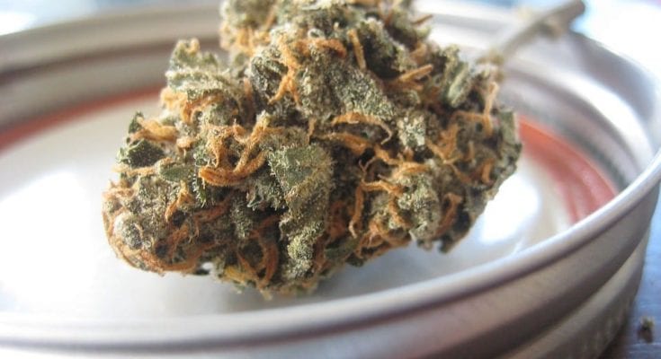 cannabis medical use