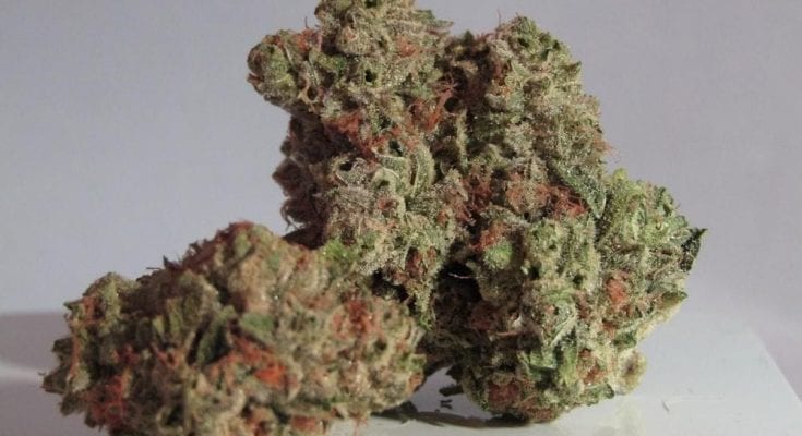 different types of weed