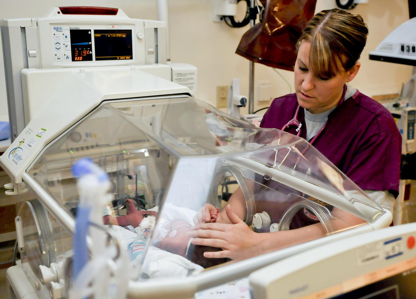 Neonatal Nurse Practitioner Schooling Jobs Programs