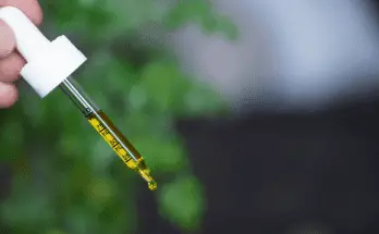 how to use cbd oil