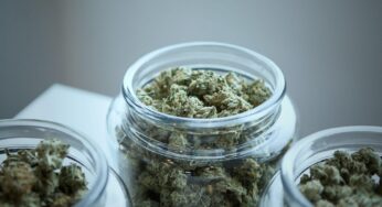 Exploring Different Products Available At A Marijuana Dispensary Moline