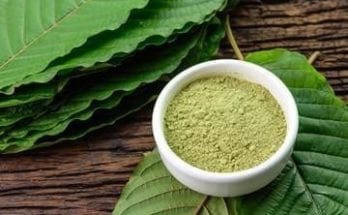 kratom vs cbd