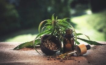 cbd for pain relief