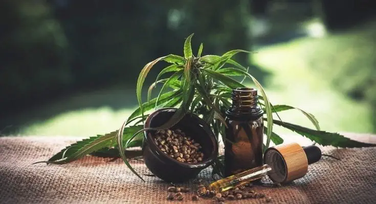 cbd for pain relief