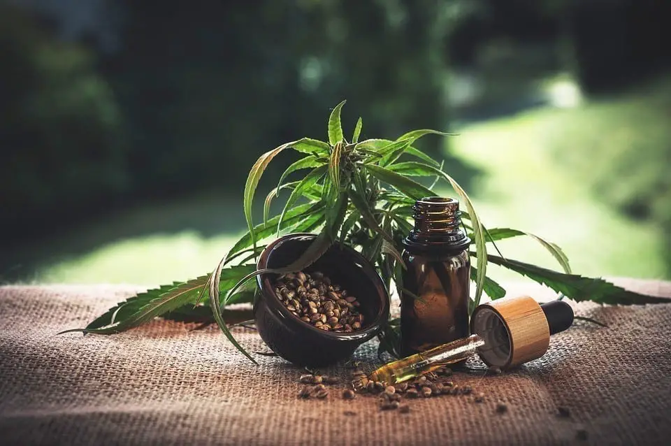cbd for pain relief