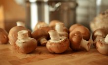 health benefits of mushrooms