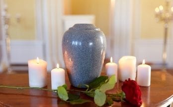 human cremation facts