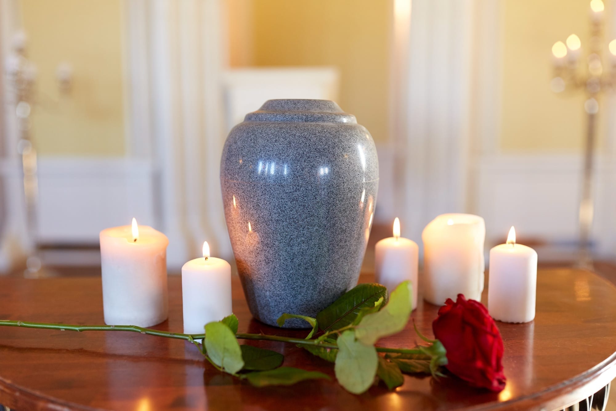 human cremation facts
