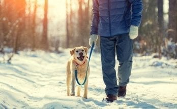 Tips To Get You Through the Winter Blues