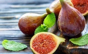 Erectile Dysfunction