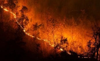 Surprising Facts About Wildfires