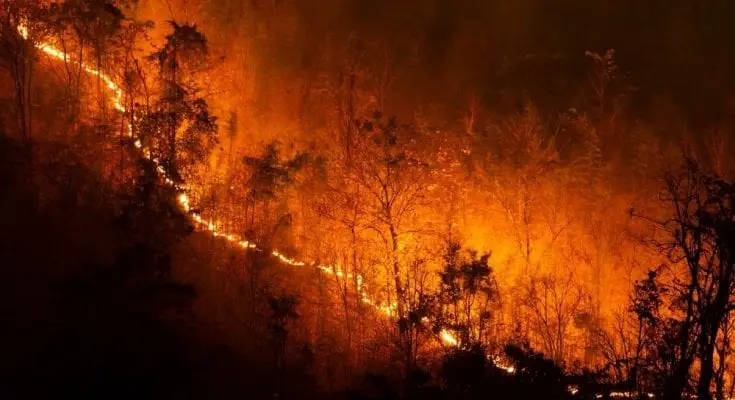 Surprising Facts About Wildfires