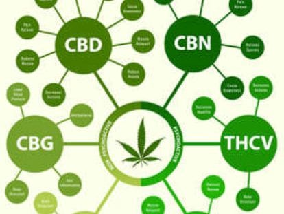 chemical composition of hemp