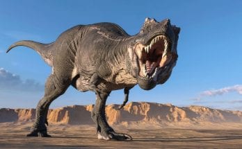 fun facts for kids about dinosaurs