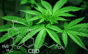 best cbd benefits